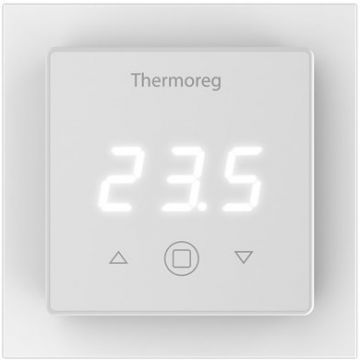 Терморегулятор Thermoreg TI-300