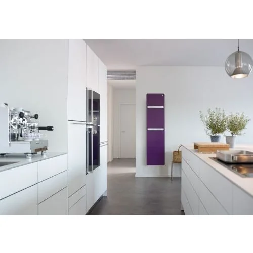 Полотенцесушитель Zehnder Vitalo Bar VIPE-190-040/GD белый (RAL 9016)