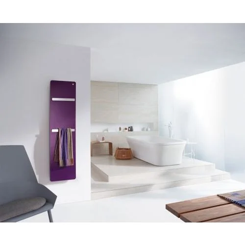 Полотенцесушитель Zehnder Vitalo Bar VIPE-160-050/GD белый (RAL 9016)