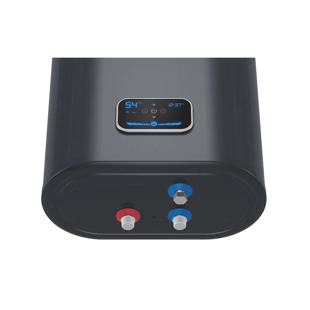 THERMEX ID 100 V (pro)
