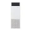 Toshiba Колонный блок (MMF-AP0366H1-E)
