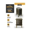 Чугунный ретро-радиатор РАДИМАКС IRIS 1 секция