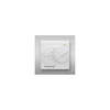 Терморегулятор Thermoreg TI-200 Design рамка Silver