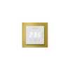 Терморегулятор Thermoreg TI-300 рамка Gold
