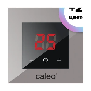 Терморегулятор CALEO NOVA стальной