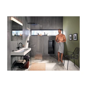 Полотенцесушитель Zehnder Zenia ZENRB-100-045/X черный