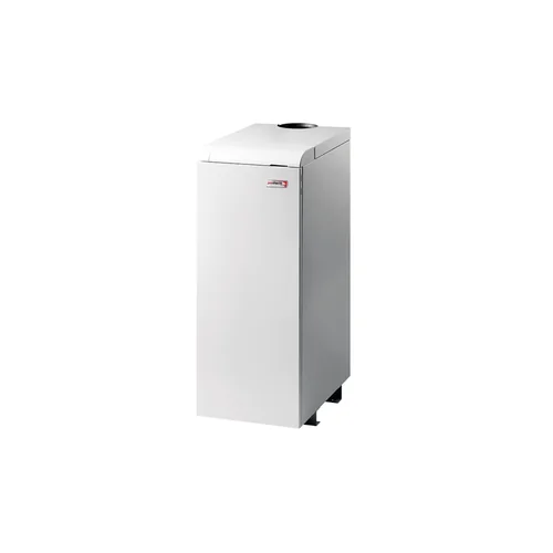 Напольный чугунный котёл Protherm Медведь 50KLOM 44,5 кВт / атмо / отопление