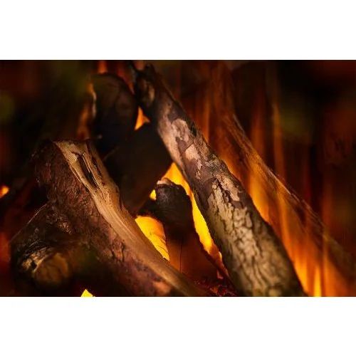 New Forest 1600 with Deluxe Real logs