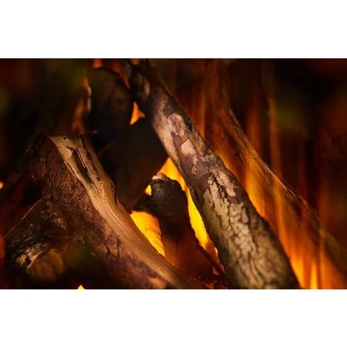 New Forest 870 with Deluxe Real logs