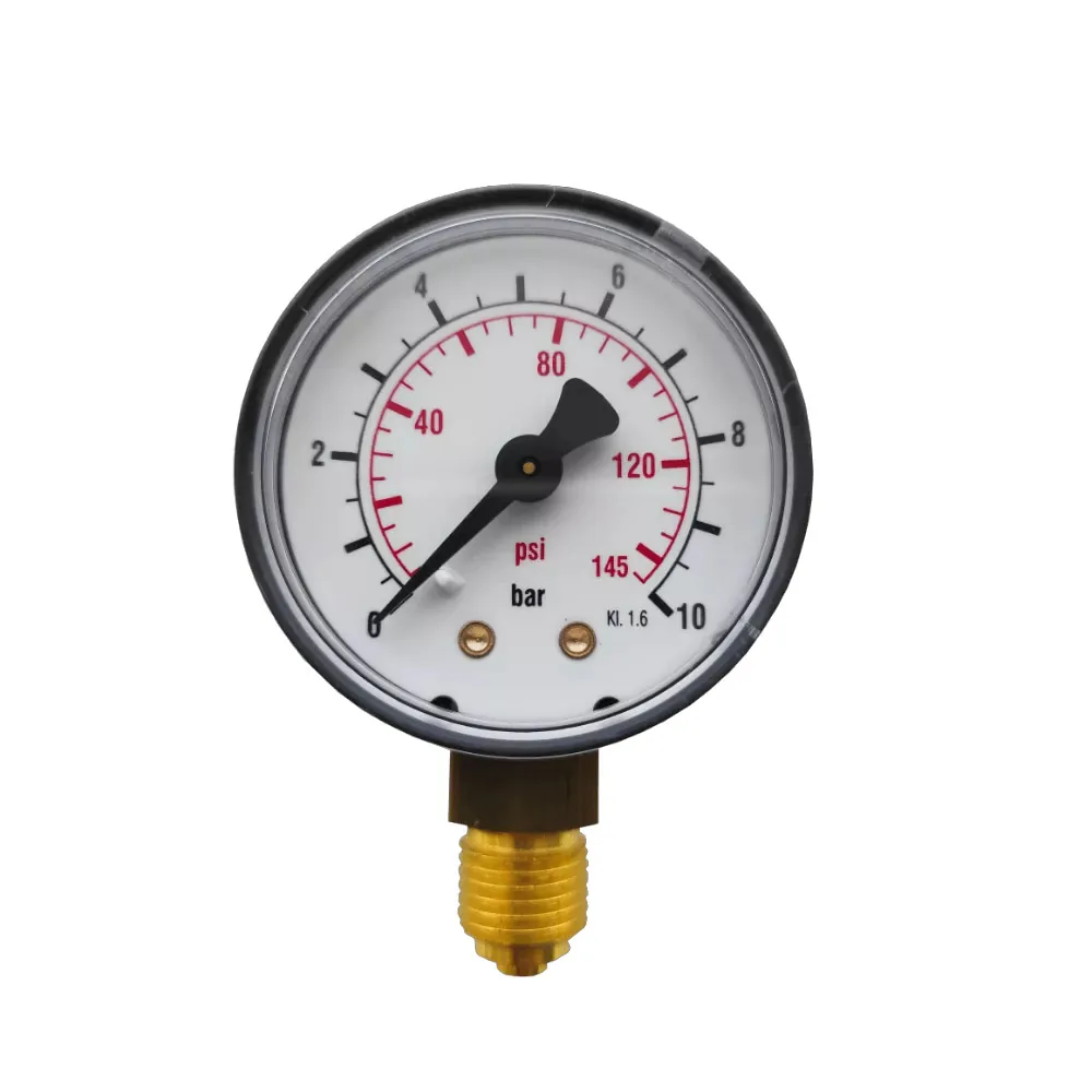 84655 Manometer BWT 1/4 0-10 bar radial Манометр радиальный